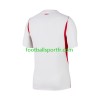 Tenue Turquie Exterieur 2026 2027 Maillot de Foot